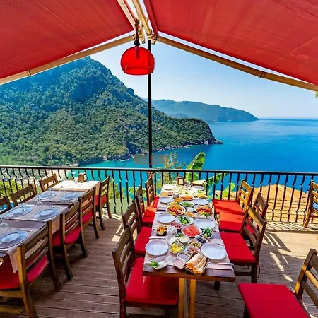 Bed & Breakfast The View *