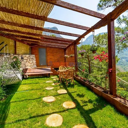The View Bed & Breakfast *