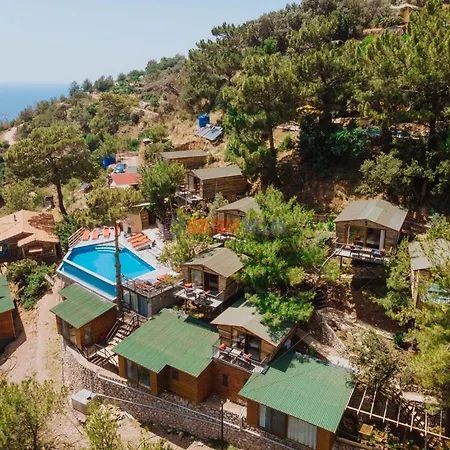 The View B&B 페티예